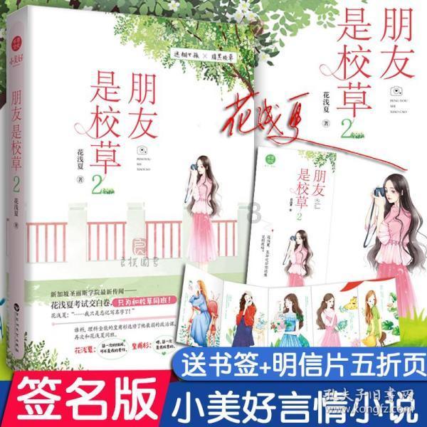 调兵遣将飞机打击