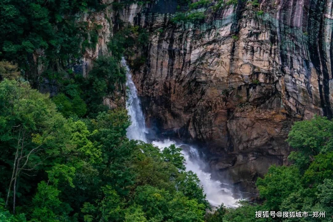皮皮虾怎么煮-专业的问答类网站