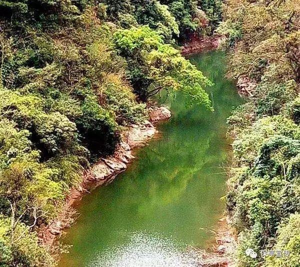 【新春走基层】贵州玉屏：手工米粉年味浓